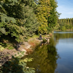 dsc09767