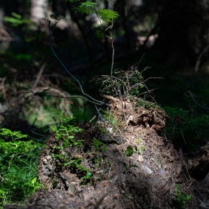 dsc06603