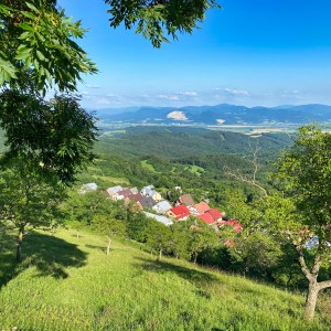chmelova