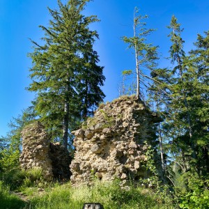 chmelova