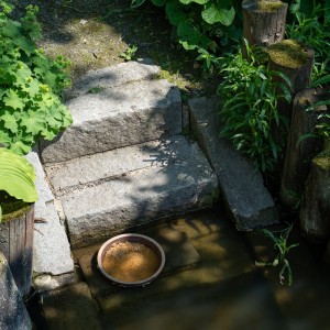 dsc05761