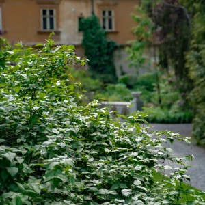 dsc05782
