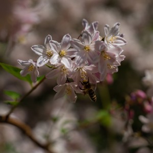 dsc05810