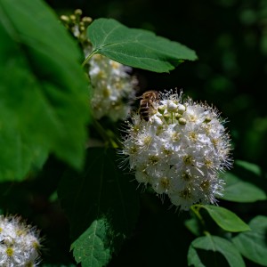 dsc05815