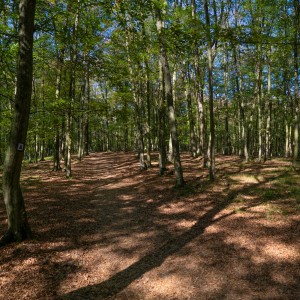 dsc00909