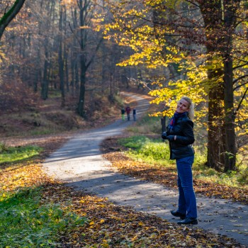 Hradec nad Moravicí - 08.11.2020