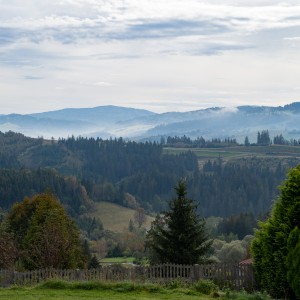 dsc03540