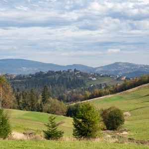 dsc03544