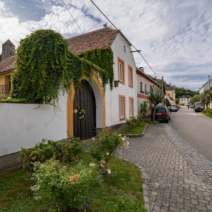 dsc08166