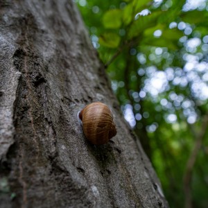 dsc08199