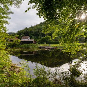 dsc08228