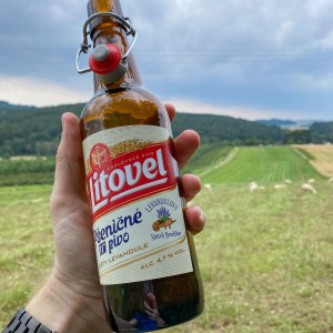 chmelova