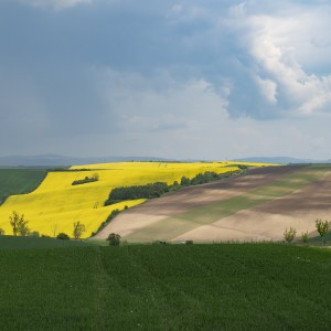 dsc05626