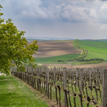 Moravské Toskánsko - 08.05.2022