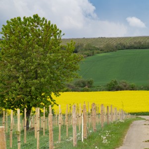 dsc05641