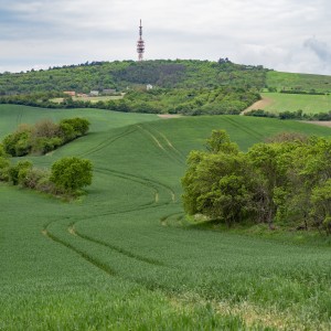 dsc05682
