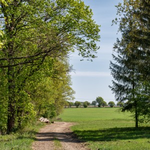 moravsky kras
