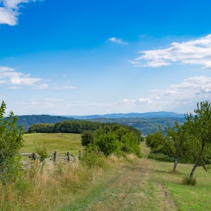 dsc07725