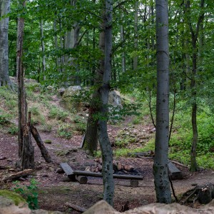 dsc07734 pano