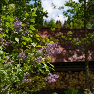 dsc06108