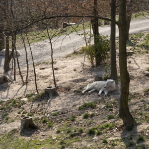 dsc05557