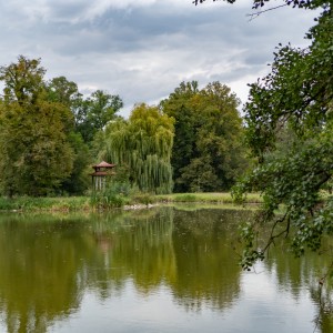 dsc00534