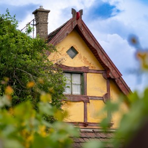 dsc07856