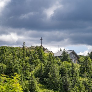dsc07217