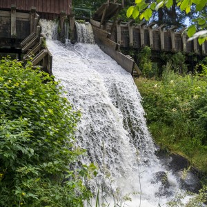 dsc07339
