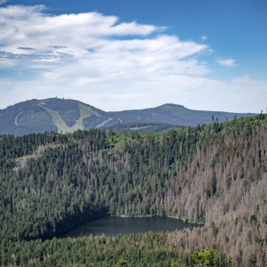 dsc07408