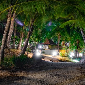 dsc03217