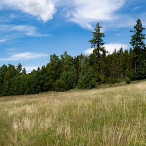 dsc06951