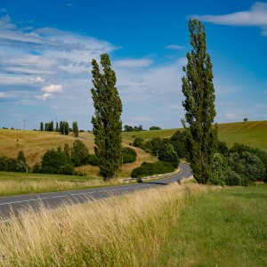 dsc06997