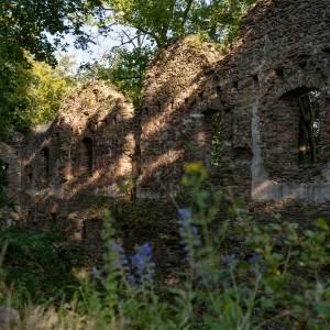 dsc07019