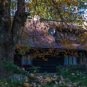dsc01421