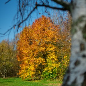 dsc01496