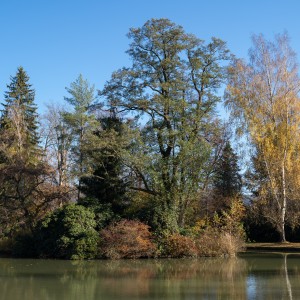 dsc03591