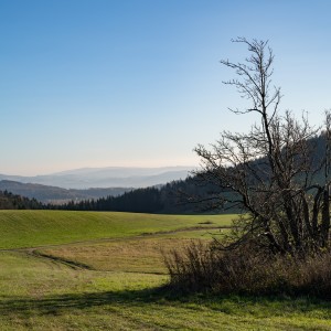 dsc03619