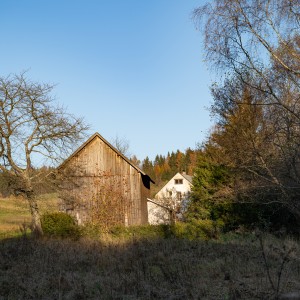 dsc03636