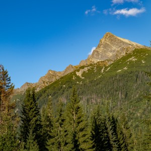 dsc09552