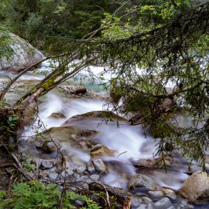 dsc09568