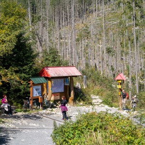 dsc09600