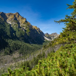 dsc09620