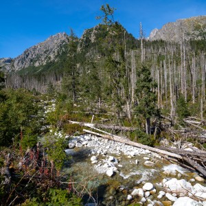 dsc09670