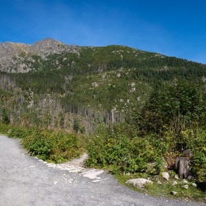 dsc09680