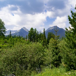 dsc06175