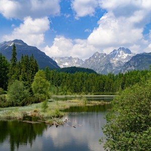 dsc06176