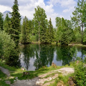 dsc06249