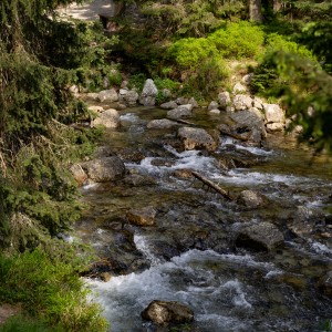 dsc06335