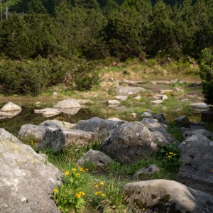 dsc06399